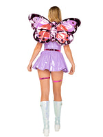 Butterfly Beauty